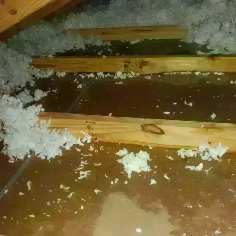 Attic Water Damage in Dayton, ME