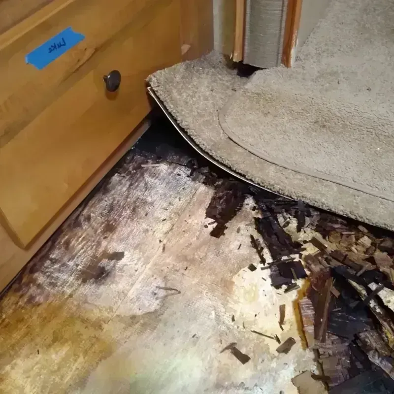 Wood Floor Water Damage in Dayton, ME